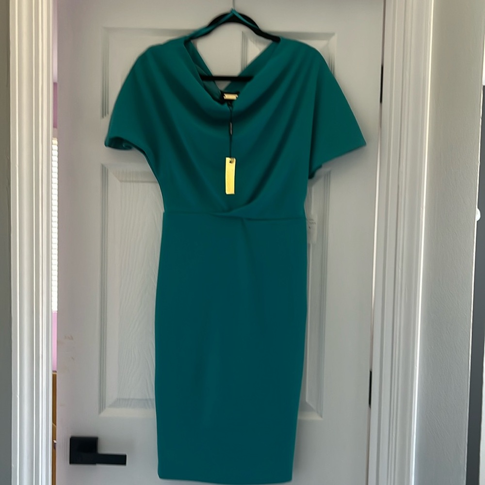 Alexia Admor brand new dress size S with tag on color light green